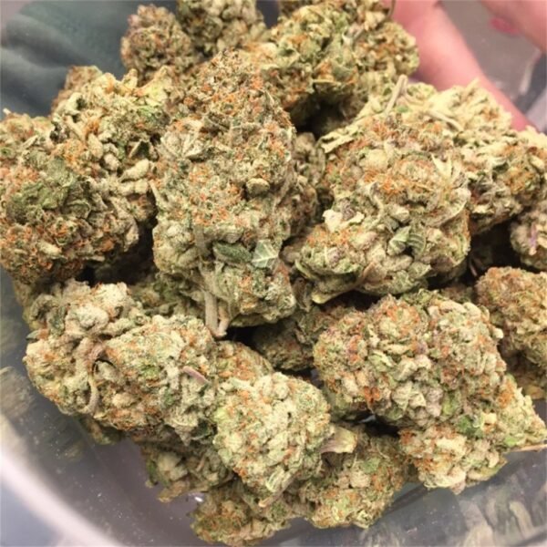 Buy OG Kush Strain Online