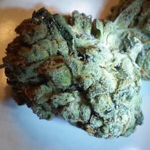 Buy Trump OG Strain Online