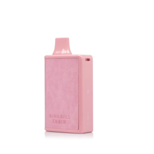 HorizonTech Binaries Cabin Disposable Vape