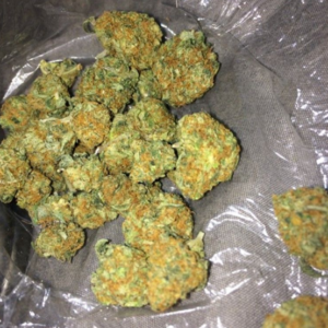 Buy Gorilla Glue Strain Online