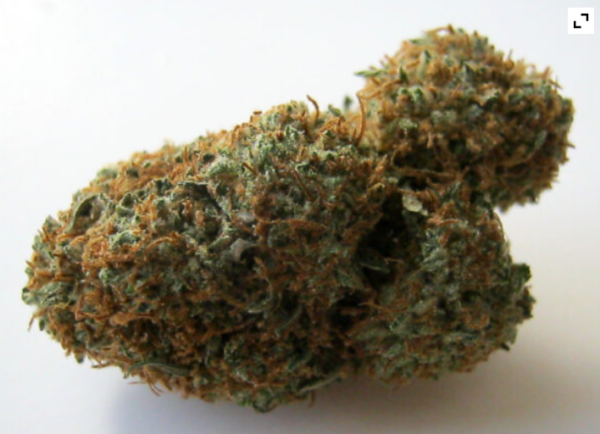 Buy Bubba Kush Strain Online