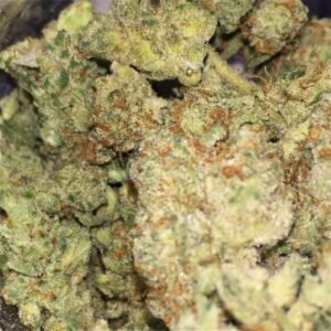 Where to buy Snowman strain Online